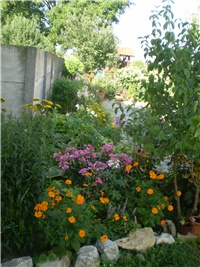 90fe5cd6-Picture 6313.jpg
